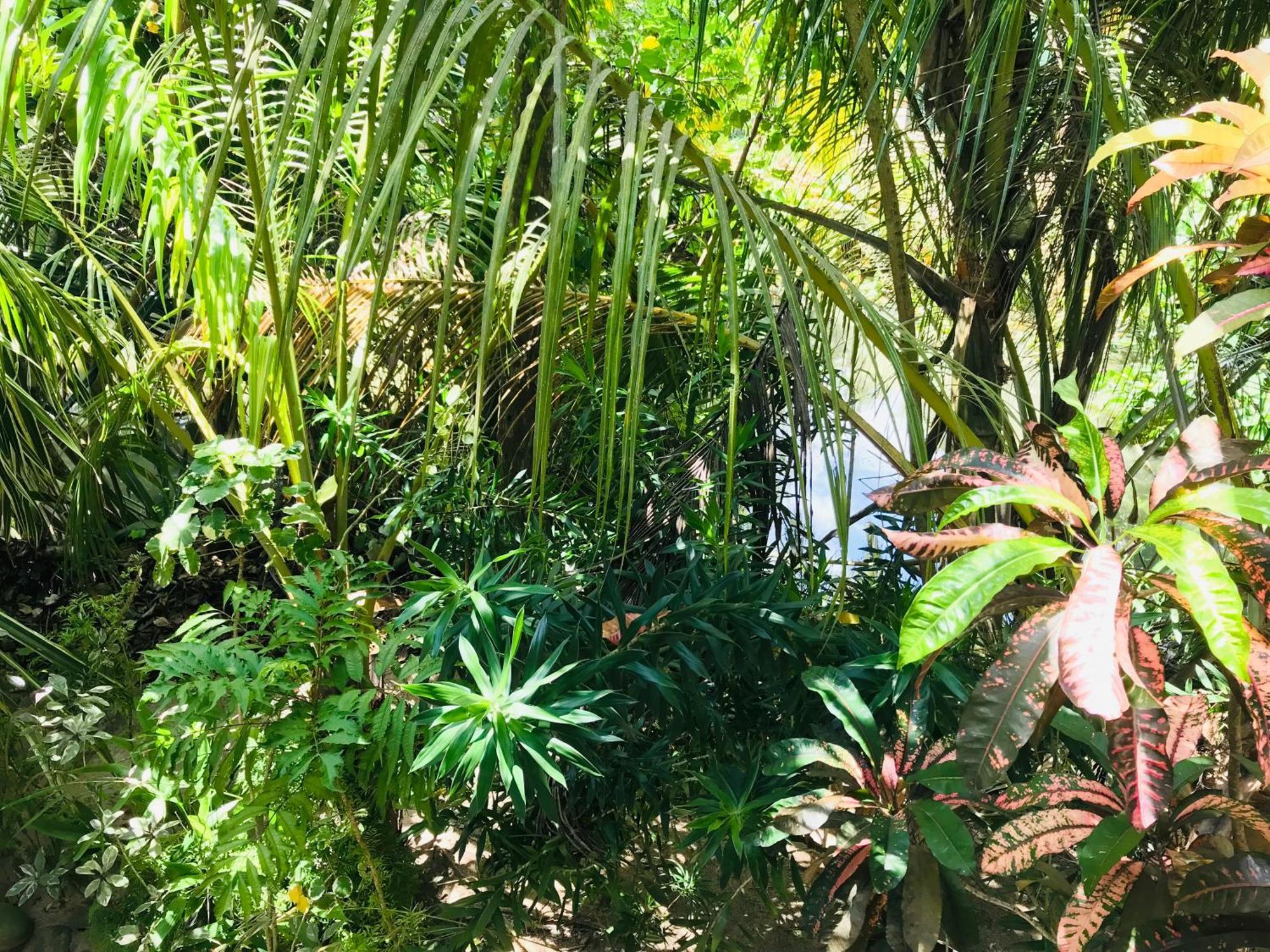 Flora And Fauna Mirissa Exterior foto