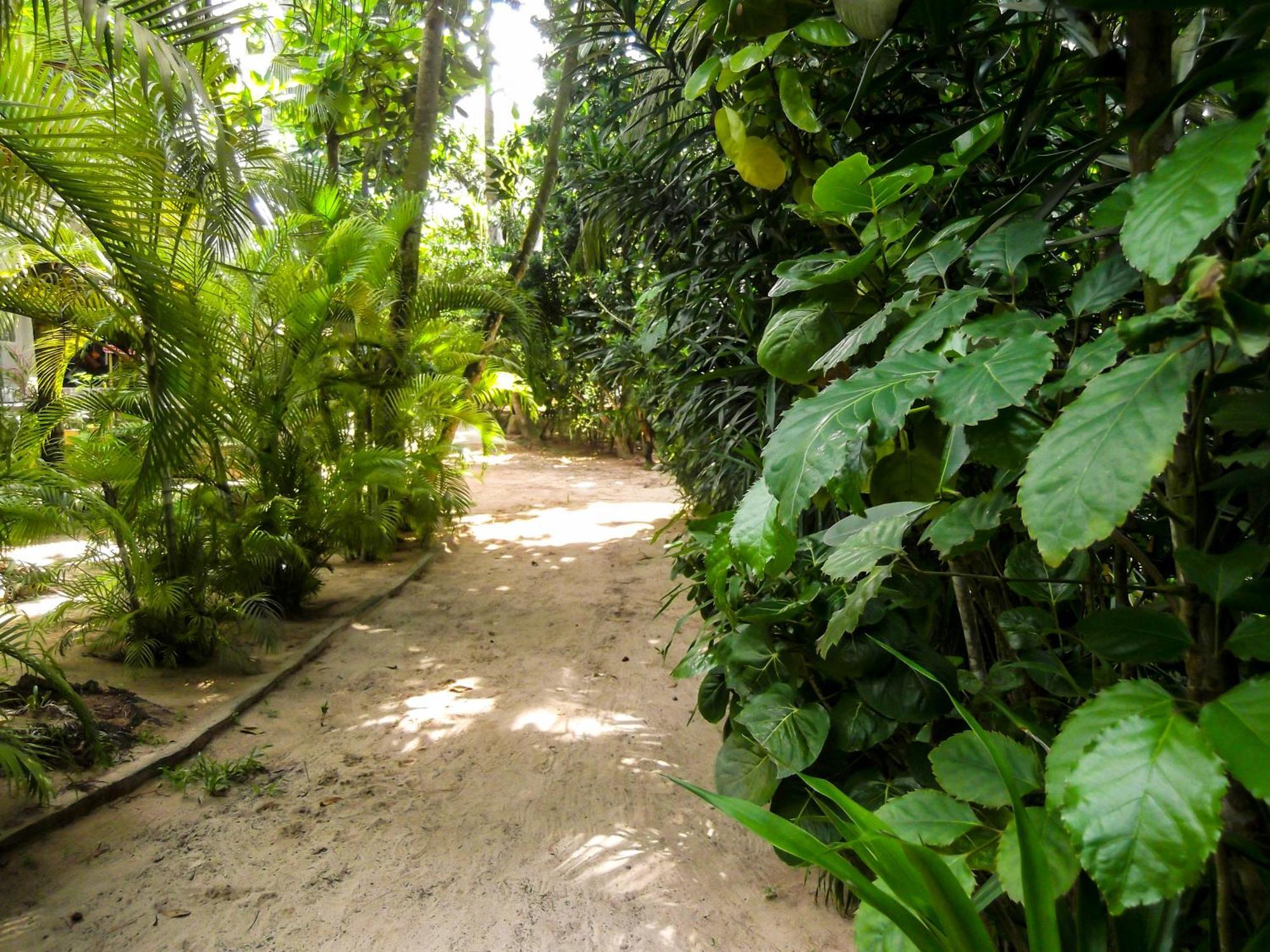 Flora And Fauna Mirissa Exterior foto